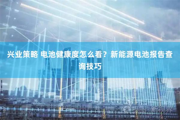 兴业策略 电池健康度怎么看？新能源电池报告查询技巧